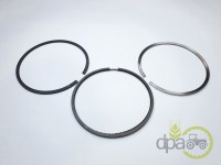 SEGMENTI MOTOR Case IH