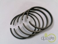 SEGMENTI MOTOR Case IH