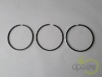 SEGMENTI MOTOR Landini