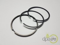 SEGMENTI MOTOR Case IH