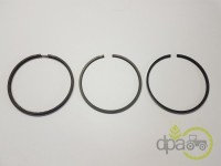 SEGMENTI MOTOR Case IH