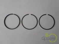 SEGMENTI MOTOR Case IH