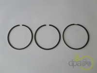 SEGMENTI MOTOR Landini