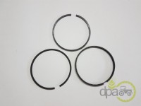 SEGMENTI MOTOR Landini