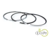 SEGMENTI MOTOR Landini