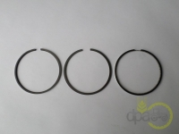 SEGMENTI MOTOR Landini