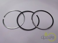 SEGMENTI MOTOR Case IH