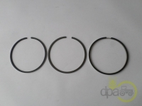 SEGMENTI MOTOR Landini