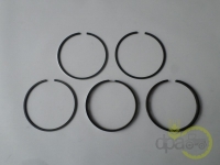 SEGMENTI MOTOR Landini