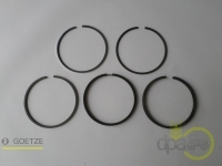 SEGMENTI MOTOR Landini