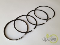 SEGMENTI MOTOR Massey Ferguson