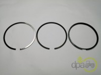 SEGMENTI MOTOR Massey Ferguson