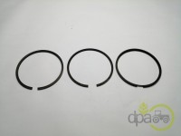 SEGMENTI MOTOR Landini