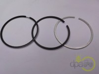 SEGMENTI MOTOR Landini