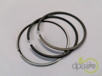 SEGMENTI MOTOR Landini