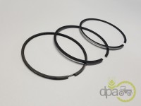 SEGMENTI MOTOR Landini