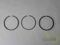 SEGMENTI MOTOR Zetor