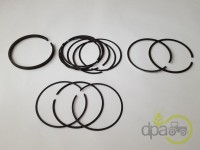 SEGMENTI MOTOR Landini