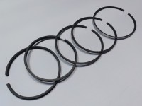 SEGMENTI MOTOR Landini