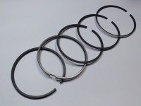 SEGMENTI MOTOR Landini