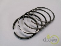 SEGMENTI MOTOR Landini