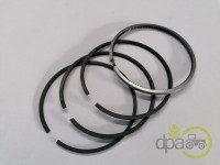 SEGMENTI MOTOR Landini