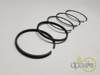 SEGMENTI MOTOR Massey Ferguson