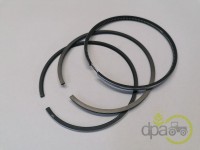 SEGMENTI MOTOR Landini