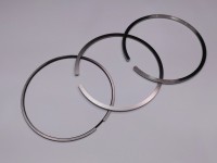 SEGMENTI MOTOR Massey Ferguson