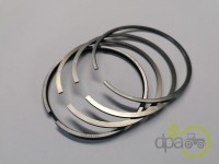 SEGMENTI MOTOR Landini