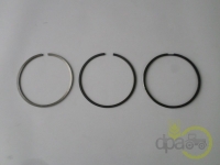 SEGMENTI MOTOR Case IH