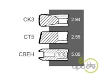 SEGMENTI MOTOR R1 Deutz