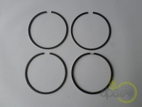 SEGMENTI MOTOR R1 Ford