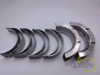 SET CUZINETI PALIER R1 New Holland