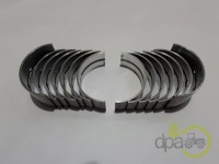 SET CUZINETI PALIER R1 David Brown