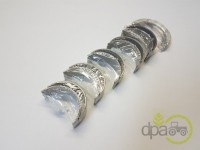 SET CUZINETI PALIER R1 Fendt