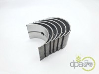 SET CUZINETI PALIER R1 David Brown