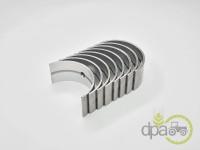 SET CUZINETI PALIER R1 David Brown