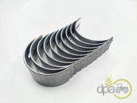 SET CUZINETI PALIER R1 Landini