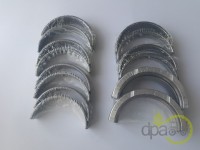 SET CUZINETI PALIER STD Case IH