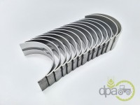 SET CUZINETI PALIER STD Massey Ferguson