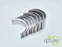 SET CUZINETI PALIER STD Massey Ferguson