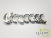 SET CUZINETI PALIER STD Fendt