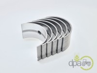 SET CUZINETI PALIER STD David Brown