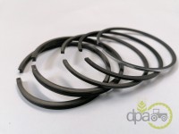 SET SEGMENTI MOTOR Hanomag