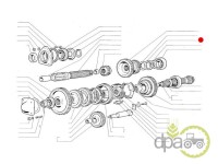 SIGURANTA TRANSMISIE Fiat