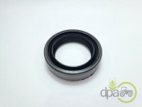 SIMERING FATA ARBORE MOTOR Massey Ferguson