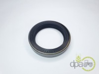 SIMERING FATA ARBORE MOTOR Fiat