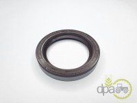 SIMERING FATA ARBORE MOTOR Fiat