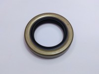 SIMERING FATA ARBORE MOTOR Fiat